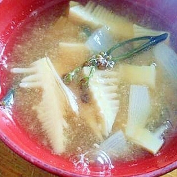 筍・新玉・蕨の みそ汁